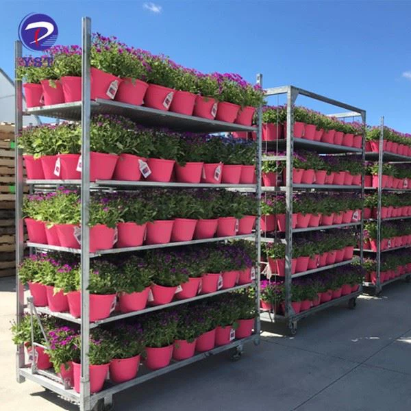 Dutch Carts For Plants