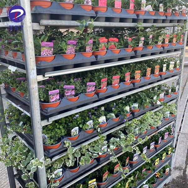 Horticulture Trolley