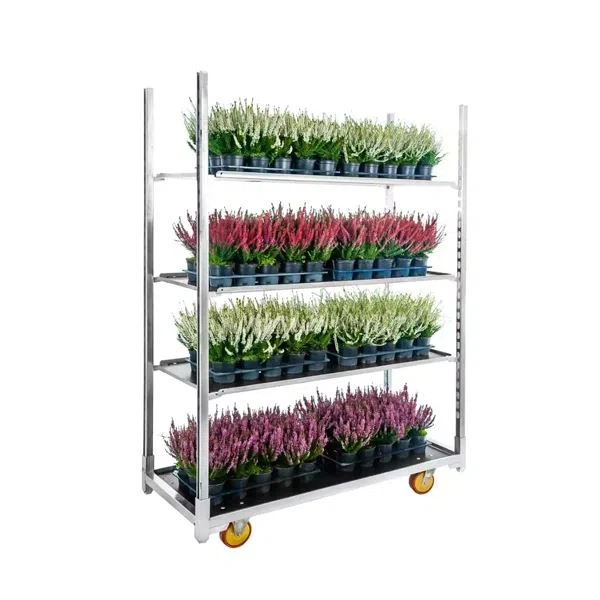 Ir-Rwol Ta 'Xtillieri Nursery?