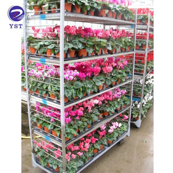 Plant Transport Cart