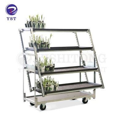 Nursery Trolly