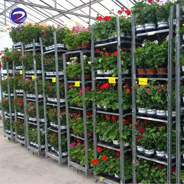 Flower Steel Trolley