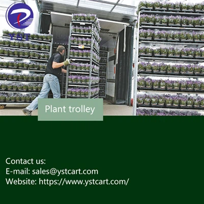It-Trolli tal-Pjanti Jista 'Jittrasporta l-Fjuri b'mod Sikur