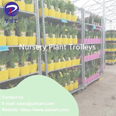 Benefiċċji ta 'trolleys tal-pjanti Nursery
