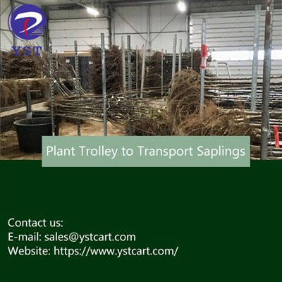 Għaliex Uża trolley tal-pjanti għat-trasport ta 'saplings?