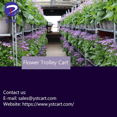 It-trolley tal-fjuri Jintuża fil-Kultivazzjoni tal-Fjuri