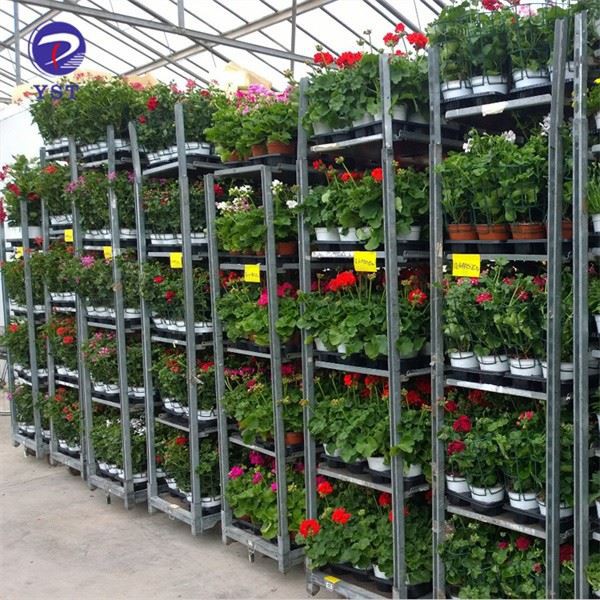 Plant Warehouse Flower Cart