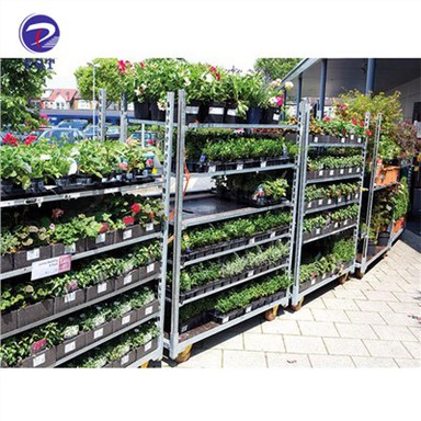 Xtillieri tan-Nursery tas-Serra