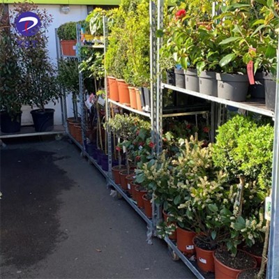 Ġnien tal-metall Nursery Cart