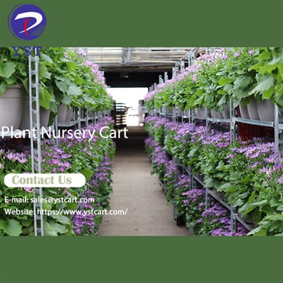 Ċaqlaq Bla Sforz il-Pjanti Tiegħek Bil-Karettuni tan-Nursery tal-Pjanti