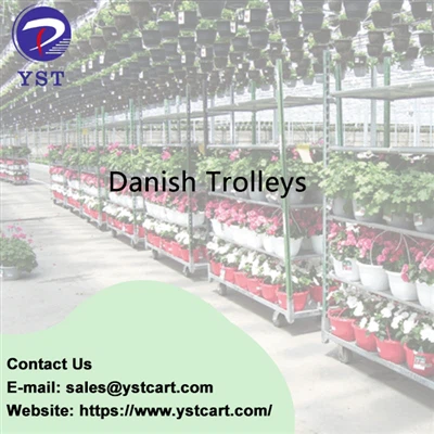 Trolleys Daniżi: L-Aktar Mod Effettiv Biex Jikkultivaw l-Uċuħ!