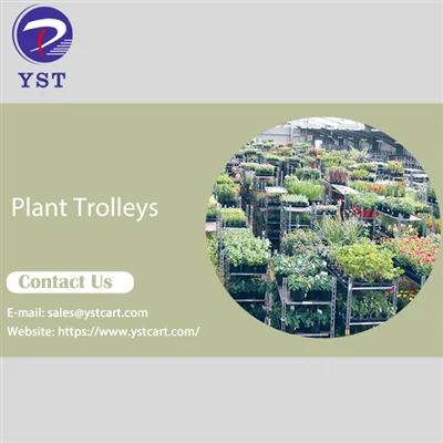 Għaliex ninvestu trolleys tal-pjanti għan-negozju tal-ortikultura?